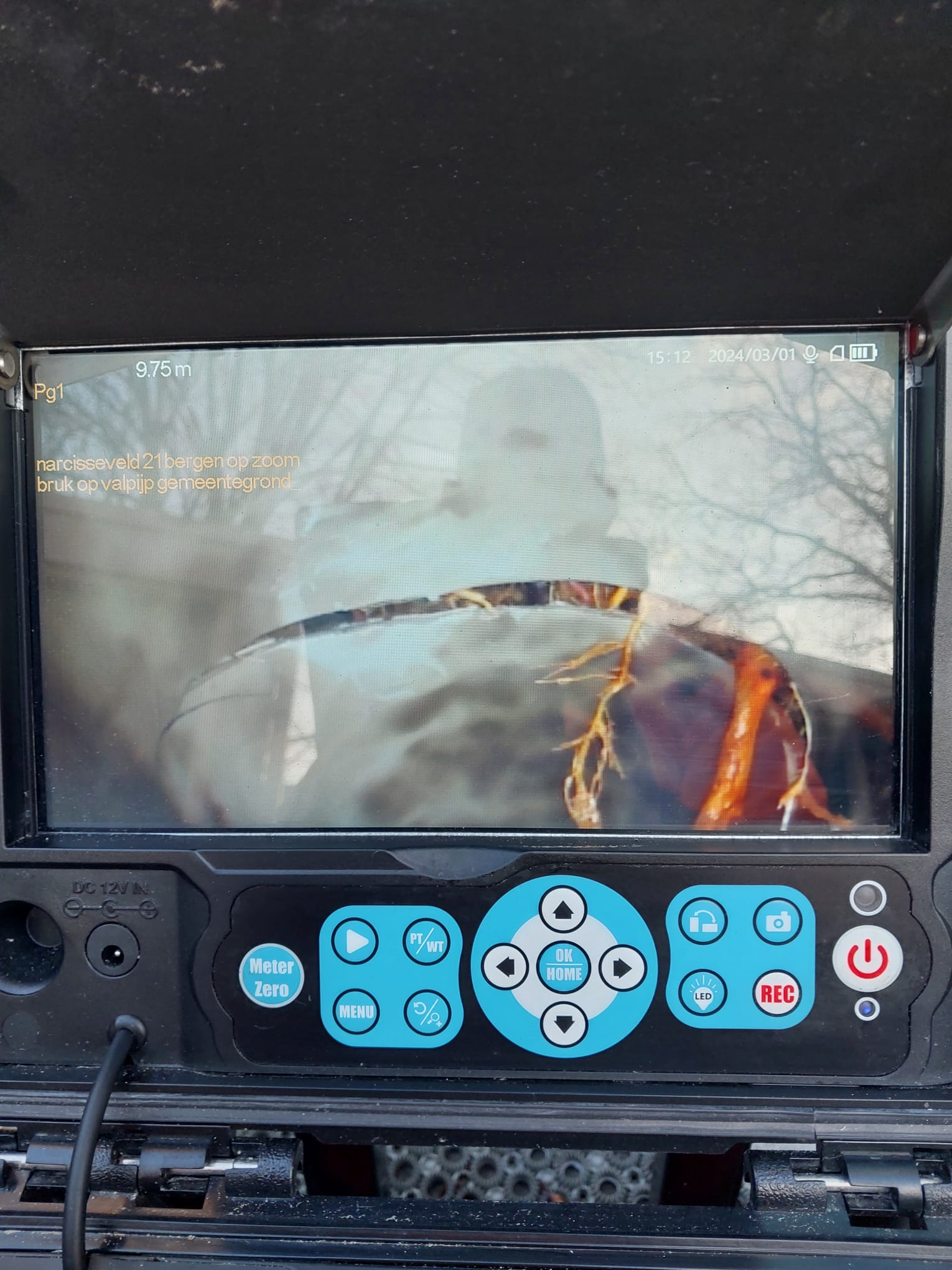 camera inspectie wortelingroei